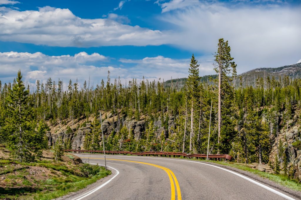 Highway in Yellowstone National Park